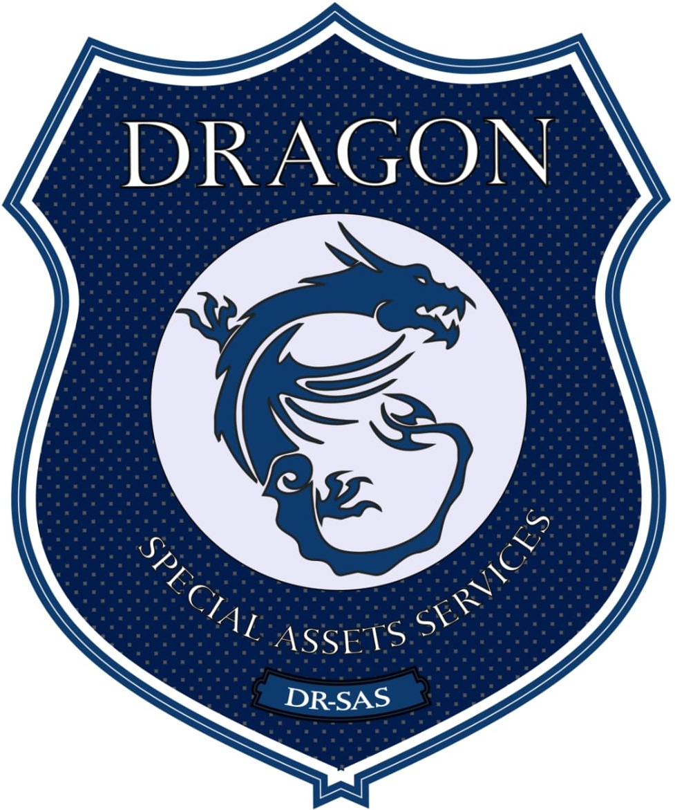 Dragon Special Assets Services
